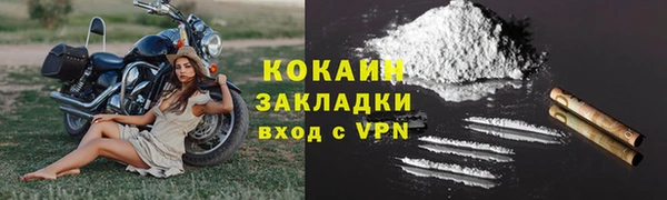 прущие грибы Богородск