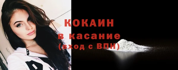 твердый Осташков