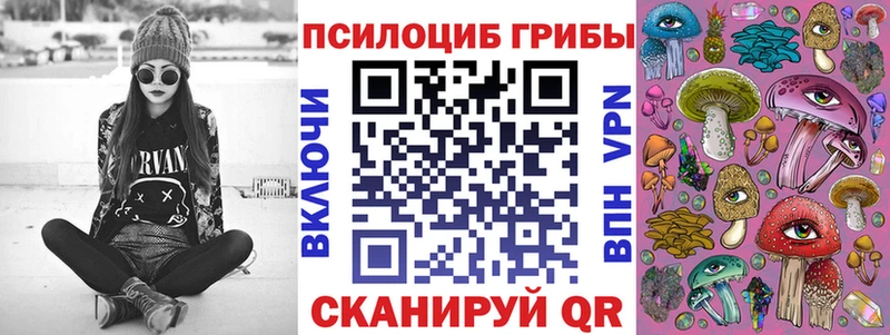 Псилоцибиновые грибы прущие грибы  Бологое 